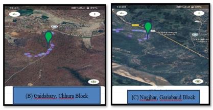 Floristic Study and Ecological Importance of Selaginella spp. (Little Club Moss) in Chhura Block of Gariaband District, Chhattisgarh, India